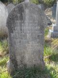 image of grave number 295088